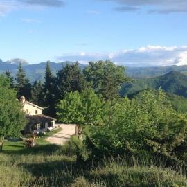 Casa Flori & Leonardo's Country House, hotel en Comunanza