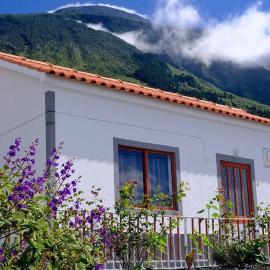 Sunflower Guest House - Madalena - Pico, hotel in São Caetano