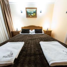 Pension Sólyomkő, Hotel in Bixad