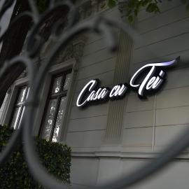 Casa Cu Tei Craiova