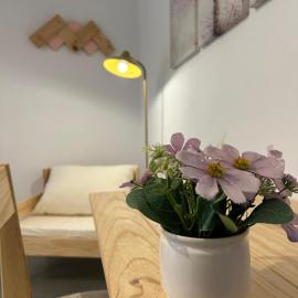 Apartamentos El Búho، فندق في بيلمونت