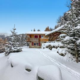 Chalet a Didi - Alps Paradise - 4 Vallees
