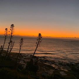 Tequila Sunset, מלון ביאמבה