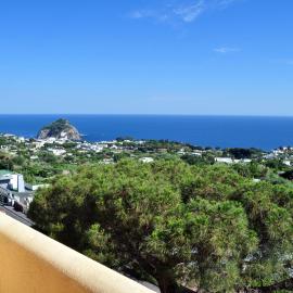 Hotel Polito