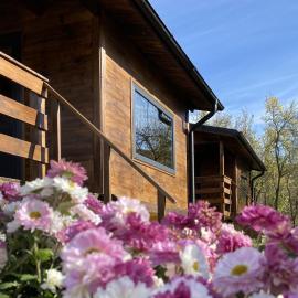 Bungalouri Olanesti, hotel a Băile Olăneşti