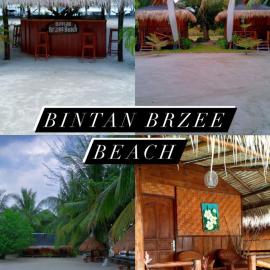 Bintan Brzee Beach in Bintan Island - Bungalow 5 โรงแรมในBerakit