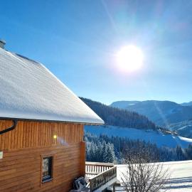 Ferienhaus Lärchenhütte