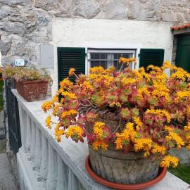 La Casetta di Barzio, hotel v destinácii Barzio