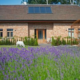 B&B Gielse Garden, hotel di Gierle