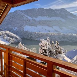 Chalet les Ecureuils Apartment Penthouse Suite, готель у місті Crésuz