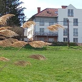 Onix-Vital Apartman Orfű, viešbutis mieste Orfu