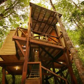 Casa Arbol Huilo Huilo- refugio para dos en el bosque, hotel a Puerto Fuy