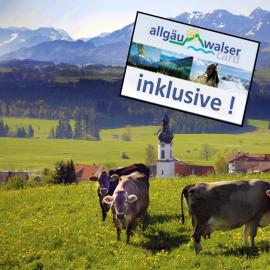 Urheim Rose - Dogfriendly
