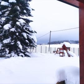 Ferienhaus am Hochficht Mühlviertel in Oberösterreich
