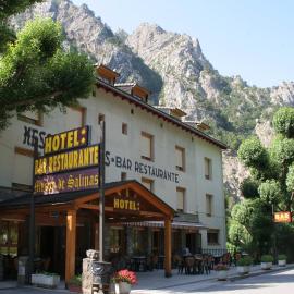 Mesón De Salinas, hotell i Salinas de Bielsa