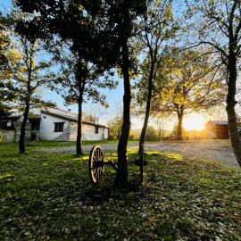 Ovostolai Cottage