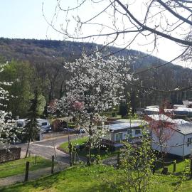 Camping Officiel Wollefsschlucht Echternach, hotel din Echternach