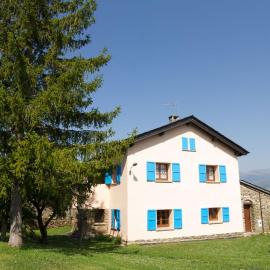 Blue House