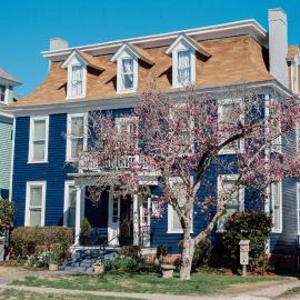 Meadows Inn