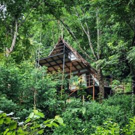 Sunset Valley Kerala Pool Resort - Monsoon Forest Cottage Stay in Idukki with Private Waterfalls, Natural Streams & Breathtaking Views