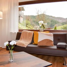 Apartment Sonnenglück im Schwarzwald with Panoramaview, Terrace, 3 Bedrooms
