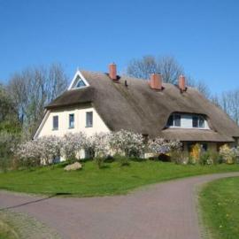Reetdachhaus Malve 2