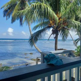 Mx2 Cottage, hotel i Calibishie