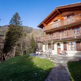 Chalet Chalet Tetras by Interhome, hotel en Chesières