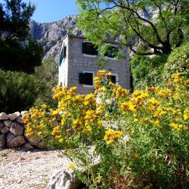Holiday Home Dalmatinska Kuća