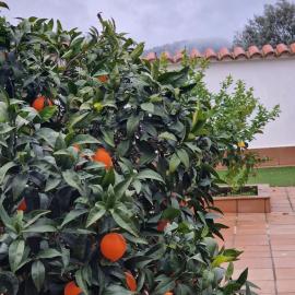 La casa del patio ATBA00260, viešbutis mieste Safra