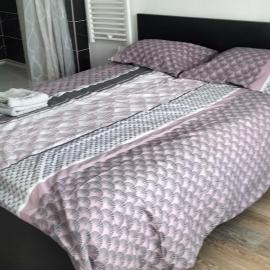 Appartement 2 pièces, hotell sihtkohas Rive-de-Gier