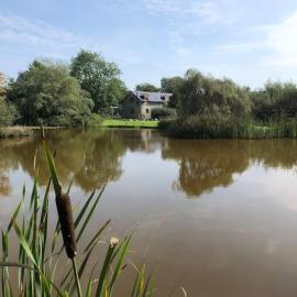 Rhedyn - Cosy Fishing Lodge Near Aberaeron, hotel a Cross Inn