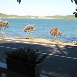 Ayvalik Dostlar Pansiyon
