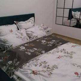 Roşu에 위치한 호텔 CozyApartment14