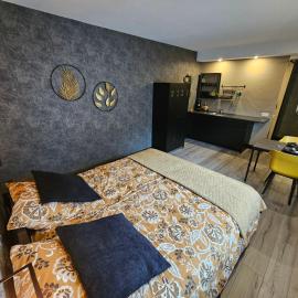 City Stay Juliette, hotel i Enschede