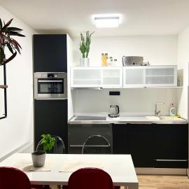 Apartment Brno- BBQ terrace, Hotel in Husovice