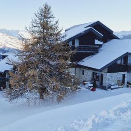 Studio cosy pour 4 pers., proche pistes et commerces, Aime-La-Plagne - FR-1-755-10