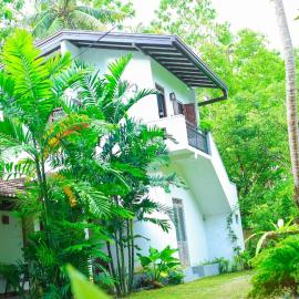 Charming dark lodge in river, hotel in Weligama