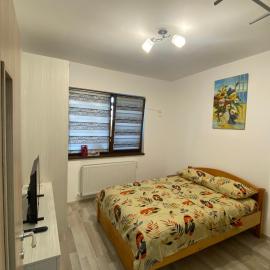 Comfort Class Apartment