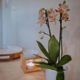 Lavender BnB, хотел в Източен Лондон