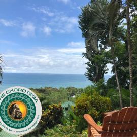 The Chorotega Hotel, Montezuma, hotel u gradu 'Montezuma'