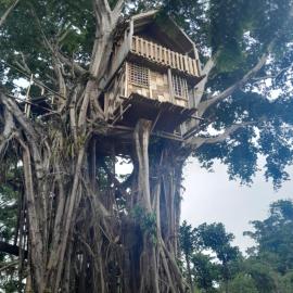Glowing Mountain view tree house, отель в городе Loanengo