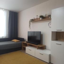 Lake apartment、ヴィサギナスのホテル