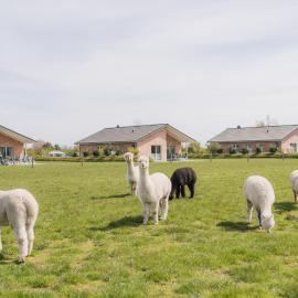 Büdlfarm - Der Familien-Erlebnishof in Strandnähe, hotel a Fehmarn