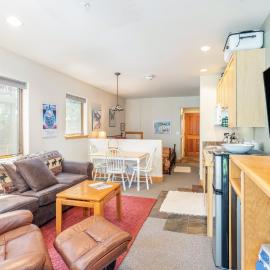 Cozy Tomboy Studio with private deck, готель у місті Теллурайд