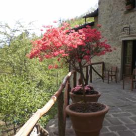 Agriturismo Molino Paradiso