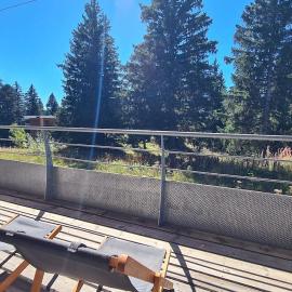 Chamrousse, 50m piste, wifi +, terrasse vue sapins
