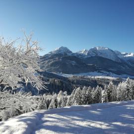 Lammerauhof