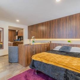 New York Loft en Centro Historico con Roof Garden, hotel a Durango