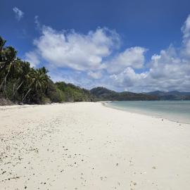 SELAYAR TURTLE BAY, hotel di Barangbarang